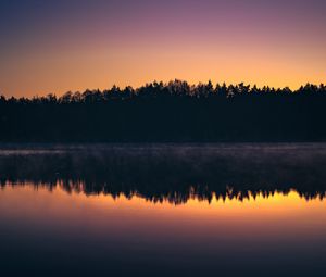 Preview wallpaper forest, trees, silhouettes, lake, reflection, sunset, dark