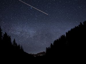 Preview wallpaper forest, trees, silhouettes, stars, sky, dark