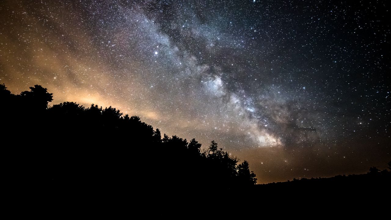 Wallpaper forest, trees, silhouettes, stars, night, milky way