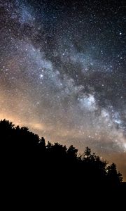 Preview wallpaper forest, trees, silhouettes, stars, night, milky way