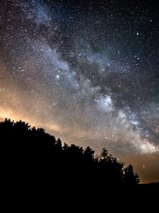 Preview wallpaper forest, trees, silhouettes, stars, night, milky way