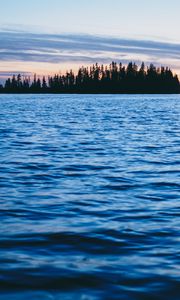 Preview wallpaper forest, trees, silhouettes, water, waves, landscape