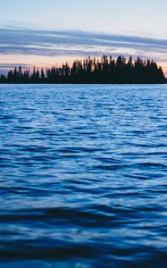 Preview wallpaper forest, trees, silhouettes, water, waves, landscape