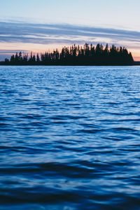 Preview wallpaper forest, trees, silhouettes, water, waves, landscape