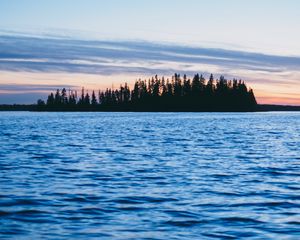 Preview wallpaper forest, trees, silhouettes, water, waves, landscape