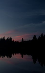 Preview wallpaper forest, trees, silhouettes, river, reflection, nature, dark