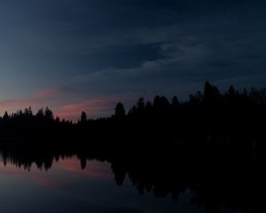 Preview wallpaper forest, trees, silhouettes, river, reflection, nature, dark