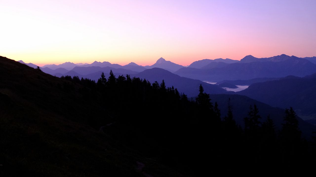 Wallpaper forest, trees, silhouettes, twilight