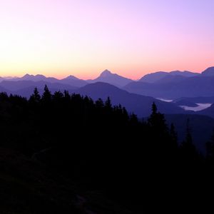 Preview wallpaper forest, trees, silhouettes, twilight