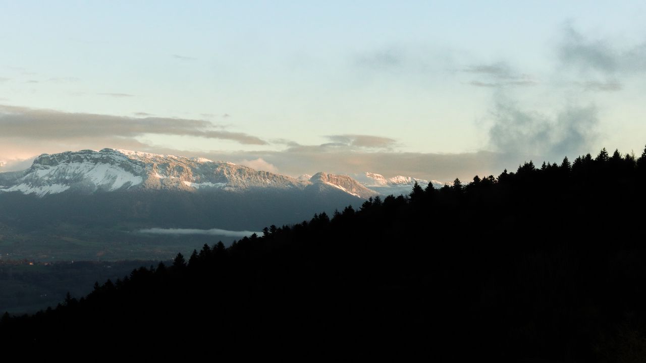 Wallpaper forest, trees, silhouettes, mountains, nature