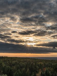 Preview wallpaper forest, trees, sky, clouds, landscape, nature