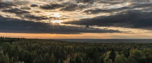 Preview wallpaper forest, trees, sky, clouds, landscape, nature