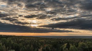 Preview wallpaper forest, trees, sky, clouds, landscape, nature