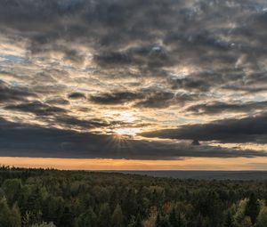 Preview wallpaper forest, trees, sky, clouds, landscape, nature