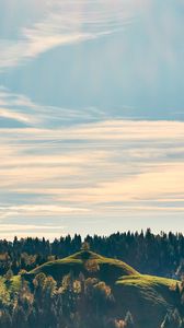 Preview wallpaper forest, trees, sky, hill