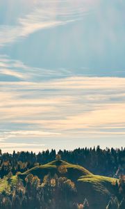 Preview wallpaper forest, trees, sky, hill