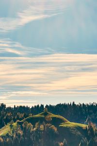 Preview wallpaper forest, trees, sky, hill