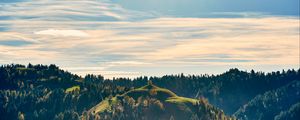 Preview wallpaper forest, trees, sky, hill