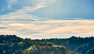 Preview wallpaper forest, trees, sky, hill