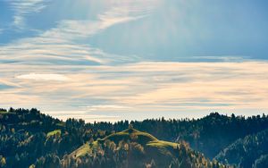 Preview wallpaper forest, trees, sky, hill