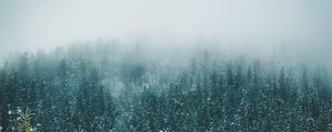 Preview wallpaper forest, trees, snow, landscape, nature