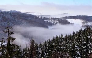 Preview wallpaper forest, trees, snow, clouds, nature, landscape