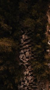 Preview wallpaper forest, trees, stones, aerial view