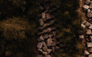 Preview wallpaper forest, trees, stones, aerial view