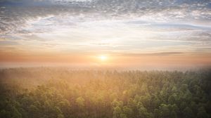 Preview wallpaper forest, trees, sun, light, nature, aerial view