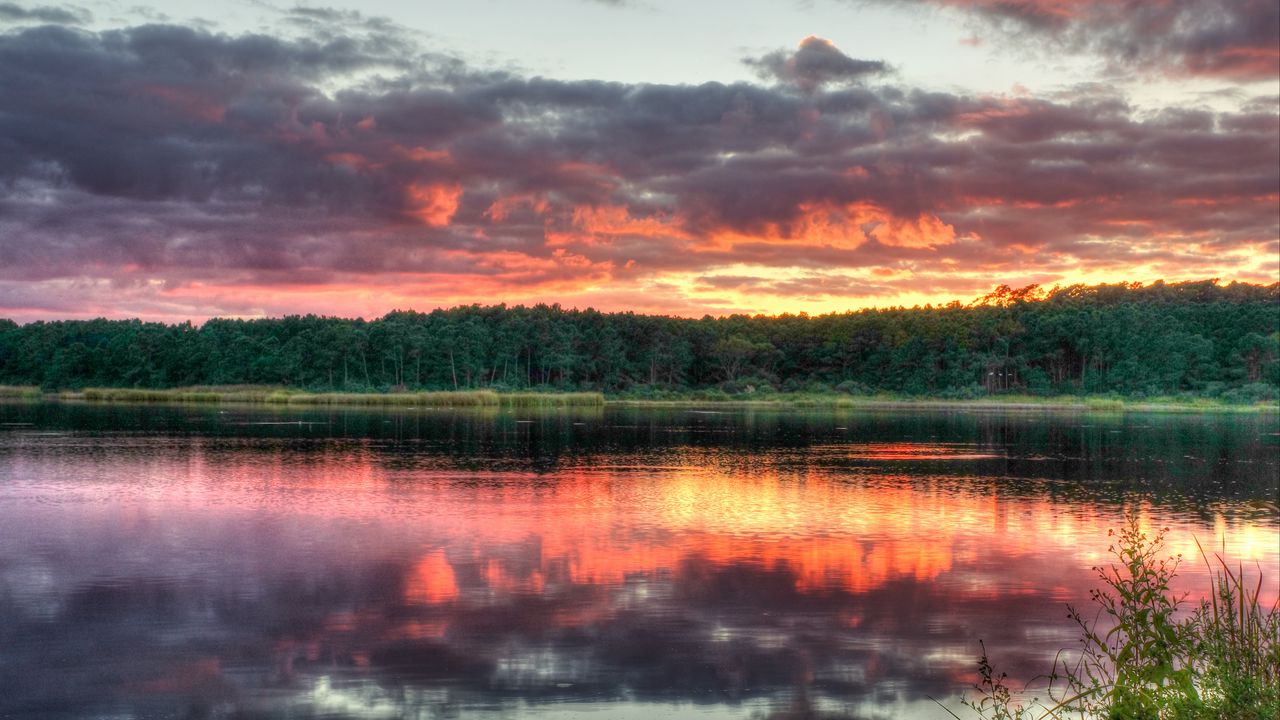 Wallpaper forest, trees, sunset, lake, reflection, landscape