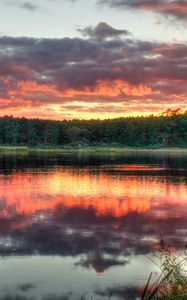 Preview wallpaper forest, trees, sunset, lake, reflection, landscape