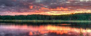 Preview wallpaper forest, trees, sunset, lake, reflection, landscape