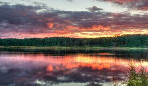 Preview wallpaper forest, trees, sunset, lake, reflection, landscape