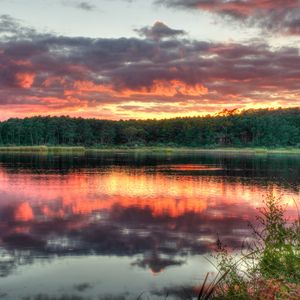 Preview wallpaper forest, trees, sunset, lake, reflection, landscape