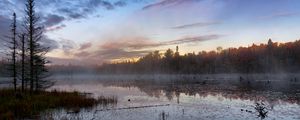 Preview wallpaper forest, trees, swamp, fog, twilight, landscape