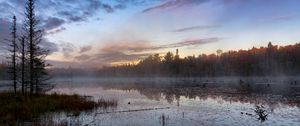 Preview wallpaper forest, trees, swamp, fog, twilight, landscape