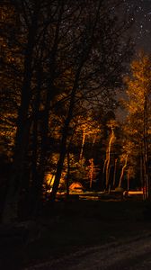 Preview wallpaper forest, trees, tent, light, dark