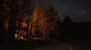 Preview wallpaper forest, trees, tent, light, dark