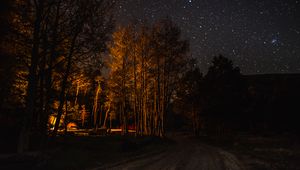 Preview wallpaper forest, trees, tent, light, dark