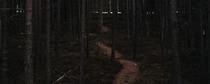 Preview wallpaper forest, trees, trail, bends, nature