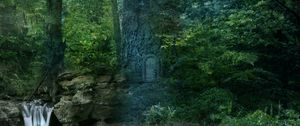 Preview wallpaper forest, trees, waterfall, landscape