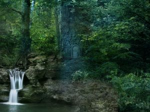 Preview wallpaper forest, trees, waterfall, landscape