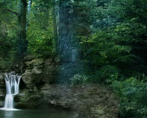 Preview wallpaper forest, trees, waterfall, landscape