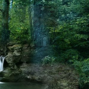 Preview wallpaper forest, trees, waterfall, landscape