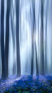 Preview wallpaper forest, trees, wild flowers, fog, blur, illusion