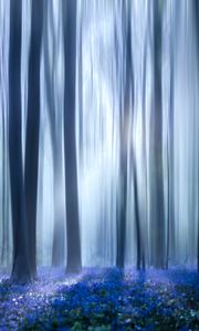 Preview wallpaper forest, trees, wild flowers, fog, blur, illusion