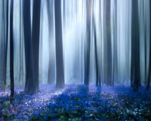 Preview wallpaper forest, trees, wild flowers, fog, blur, illusion