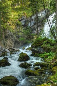 Preview wallpaper forest, waterfall, river, rocks, landscape