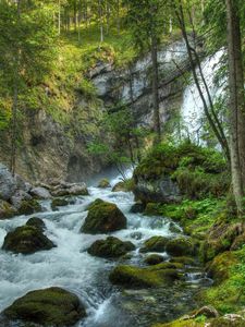 Preview wallpaper forest, waterfall, river, rocks, landscape