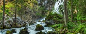 Preview wallpaper forest, waterfall, river, rocks, landscape